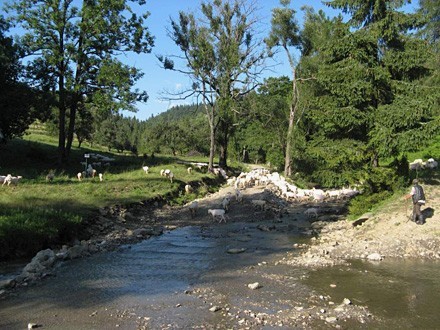 lapiradium_008_radeck