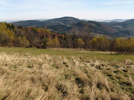 lapiradium_011_radeck