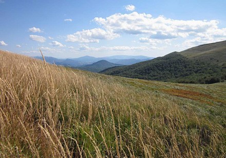 lapiradium_036_radeck