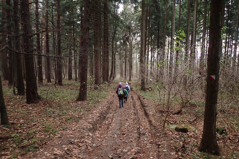 31-PB200392 -- Zejście na zachodnią stronę Jasieniowej