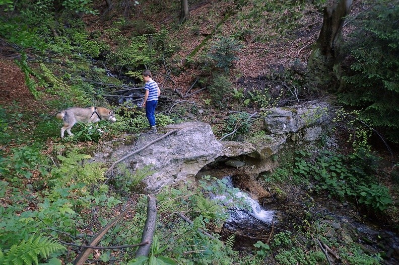 05-P5270015 -- Coraz lichsze resztki betonowego progu w bocznej dolince