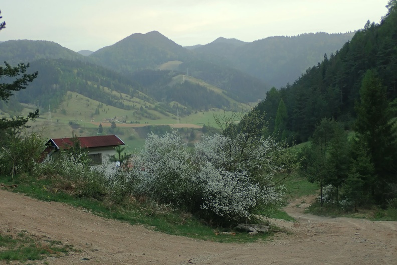 160-P4260736 -- Tuż nad Švošovom. Robimy sobie przystanek pod stojącą obok, turystyczną wiatą. Poniżej ciurka woda